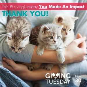 giving-tuesday-thank-you