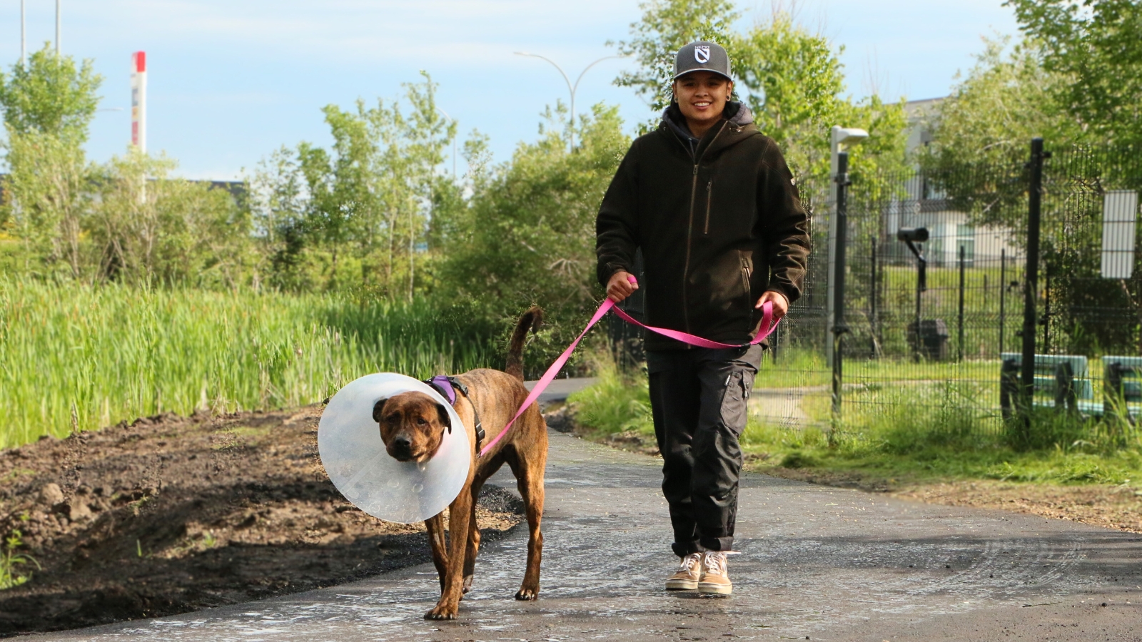 Turning a passion for dogs into a career that changes lives.